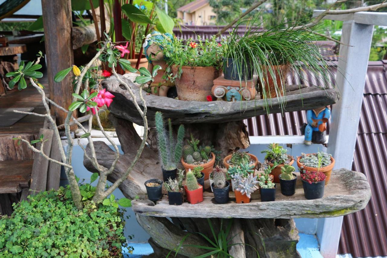 Up2U Guesthouse Pai Luaran gambar